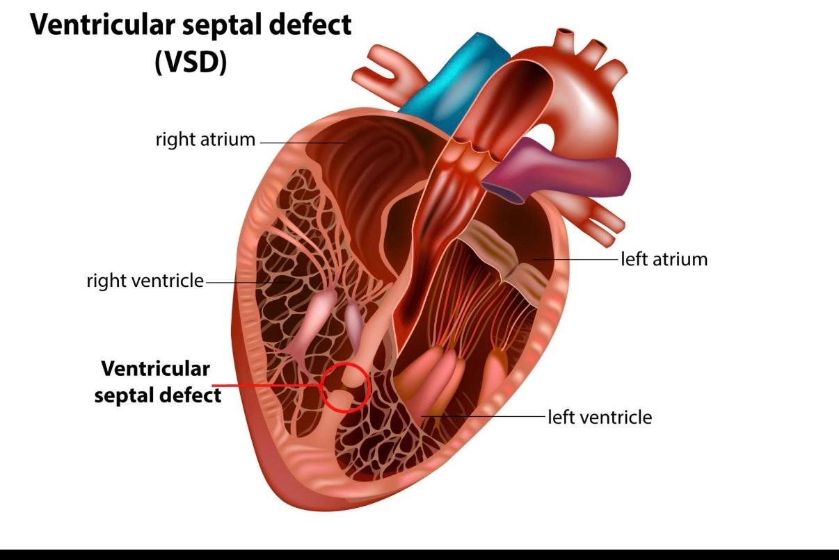 WhatsApp Image 2026-03-16 at 12.49.35 AM.jpeg
